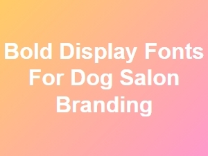 Bold Display Fonts for Dog Salon Branding