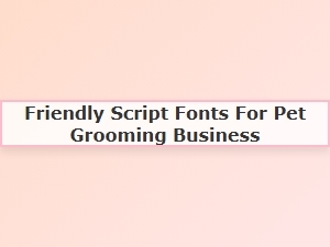 Playful Script Fonts for Your Pet Grooming Business