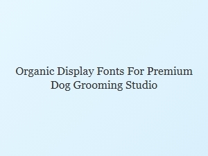 Organic Display Fonts for a Premium Dog Grooming Studio